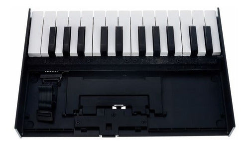 Roland K-25m Teclado Controlador Midi Boutique