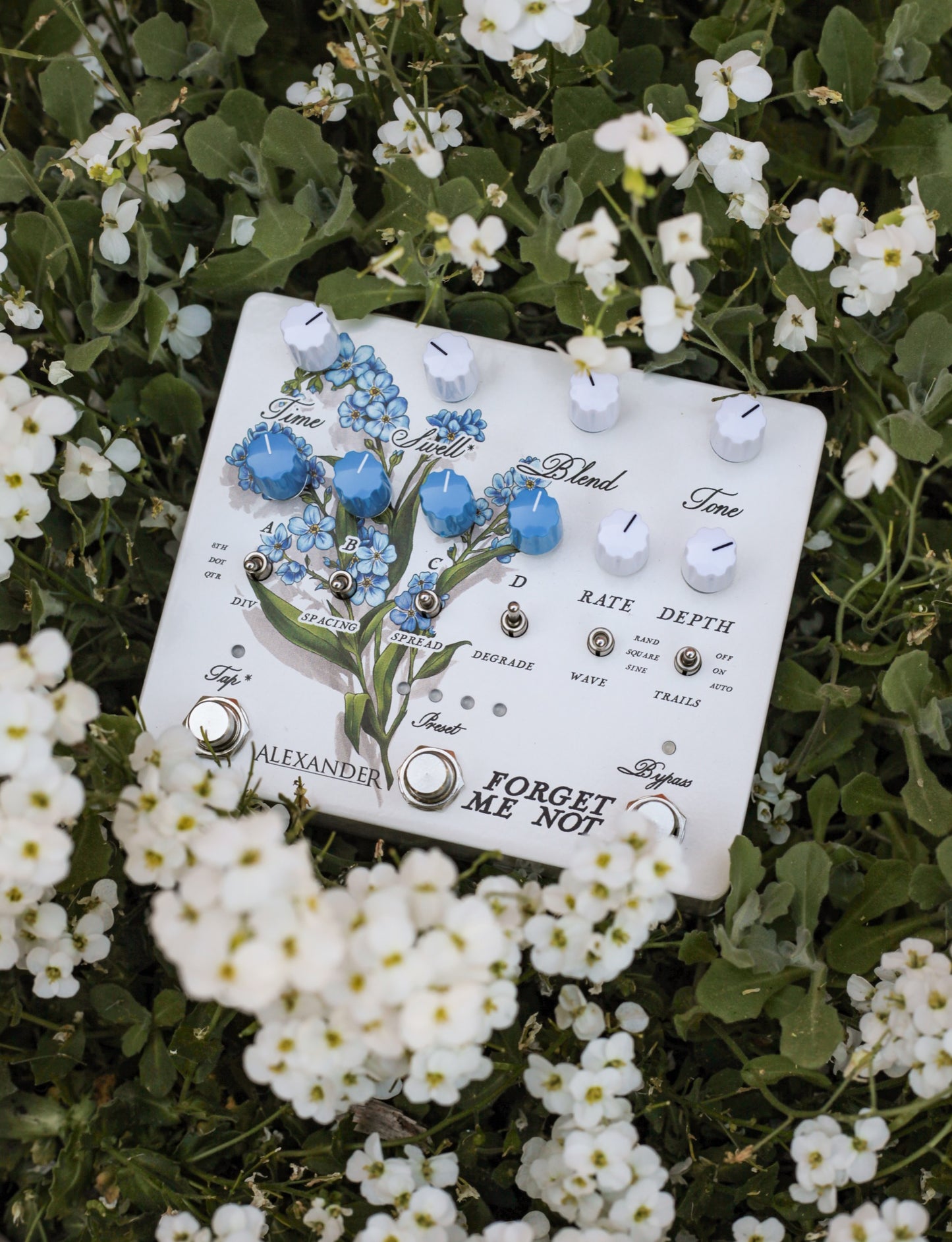 Alexander Pedals Forget Me Not en uso