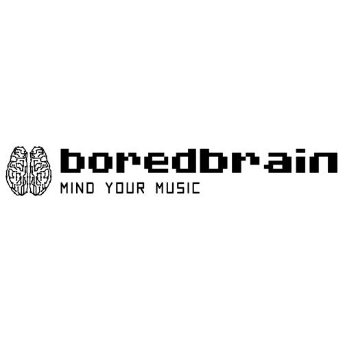 Boredbrain Music Pack 12 Cables Patch Modular 3.5 Ts Colores