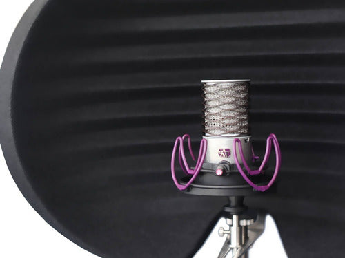 Micrófono Aston Origin Condensador Plateado