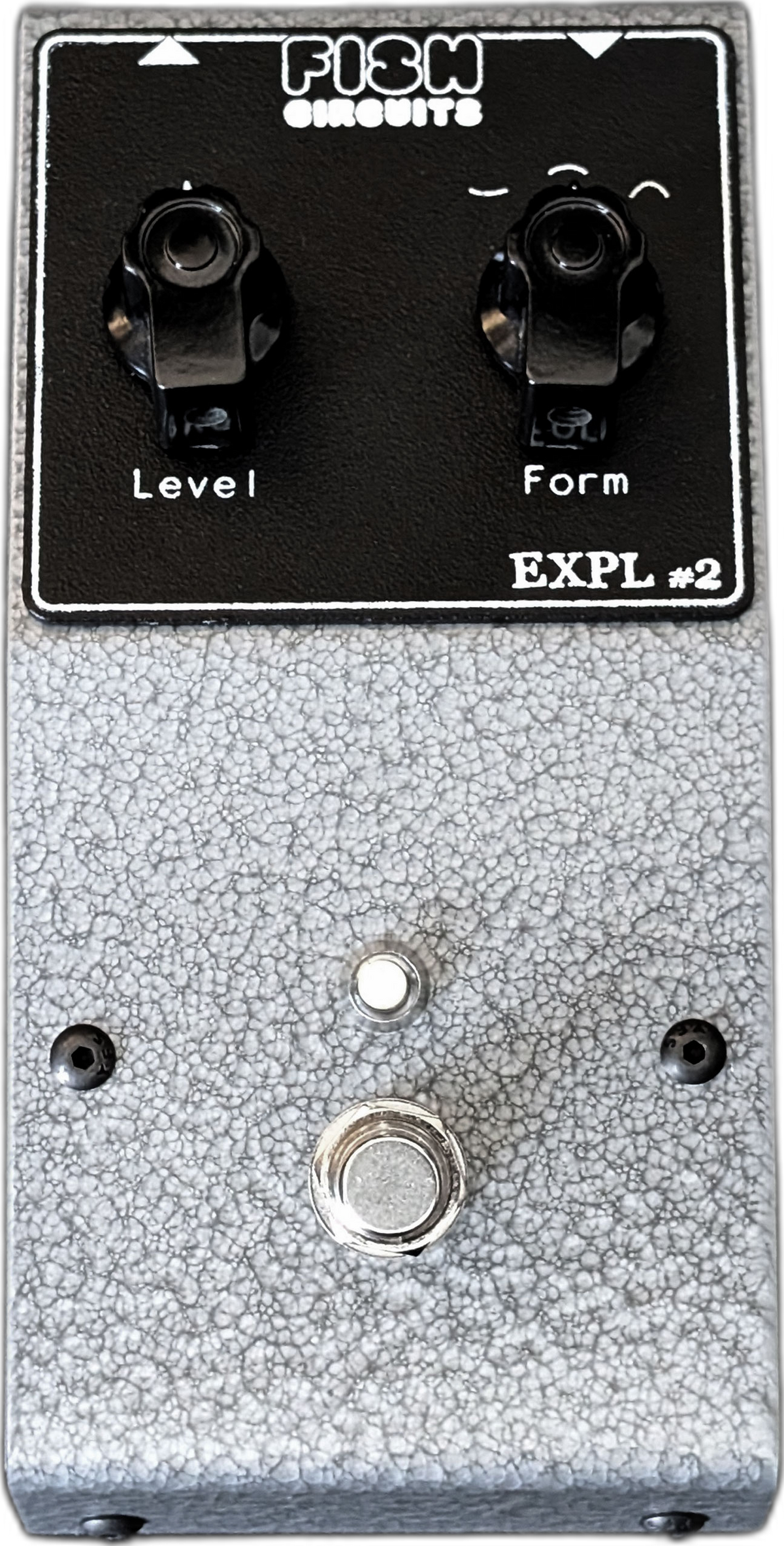 Fish Circuits Exploration 2 fuzz