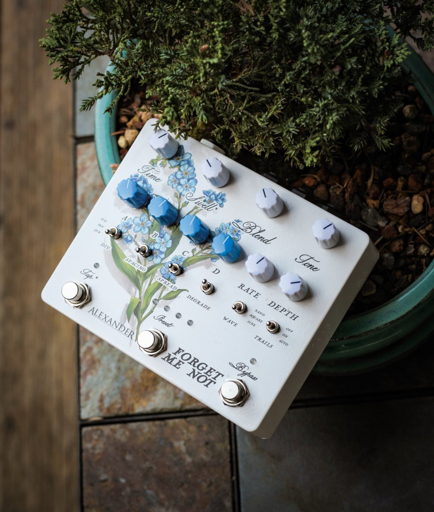 Alexander Pedals Forget Me Not en pedalera
