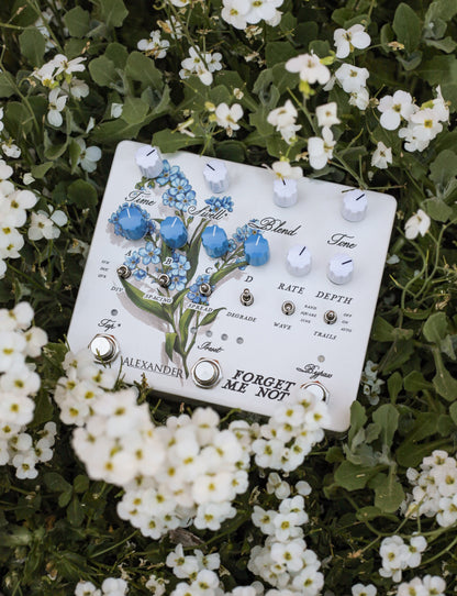 Alexander Pedals Forget Me Not en uso