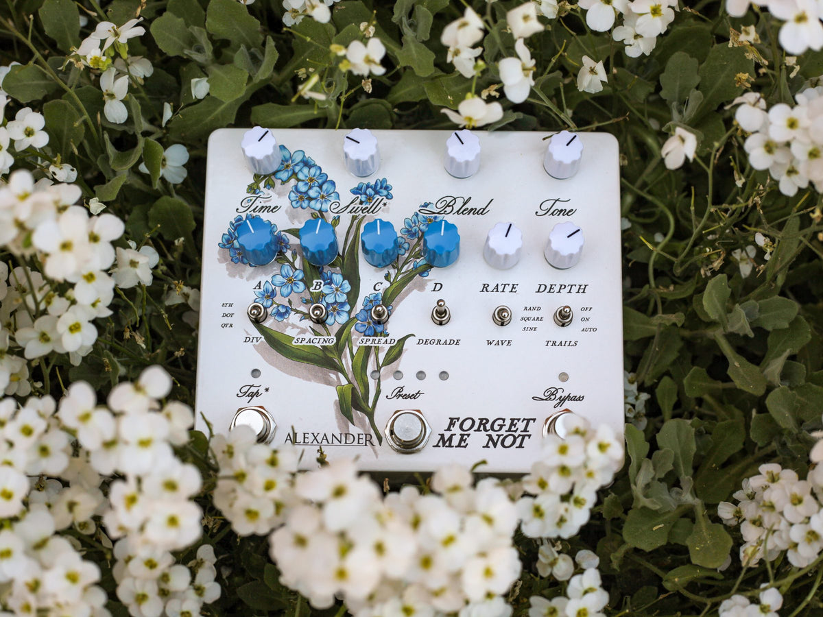 Pedal Alexander Forget-Me-Not sobre un arbusto de flores blancas