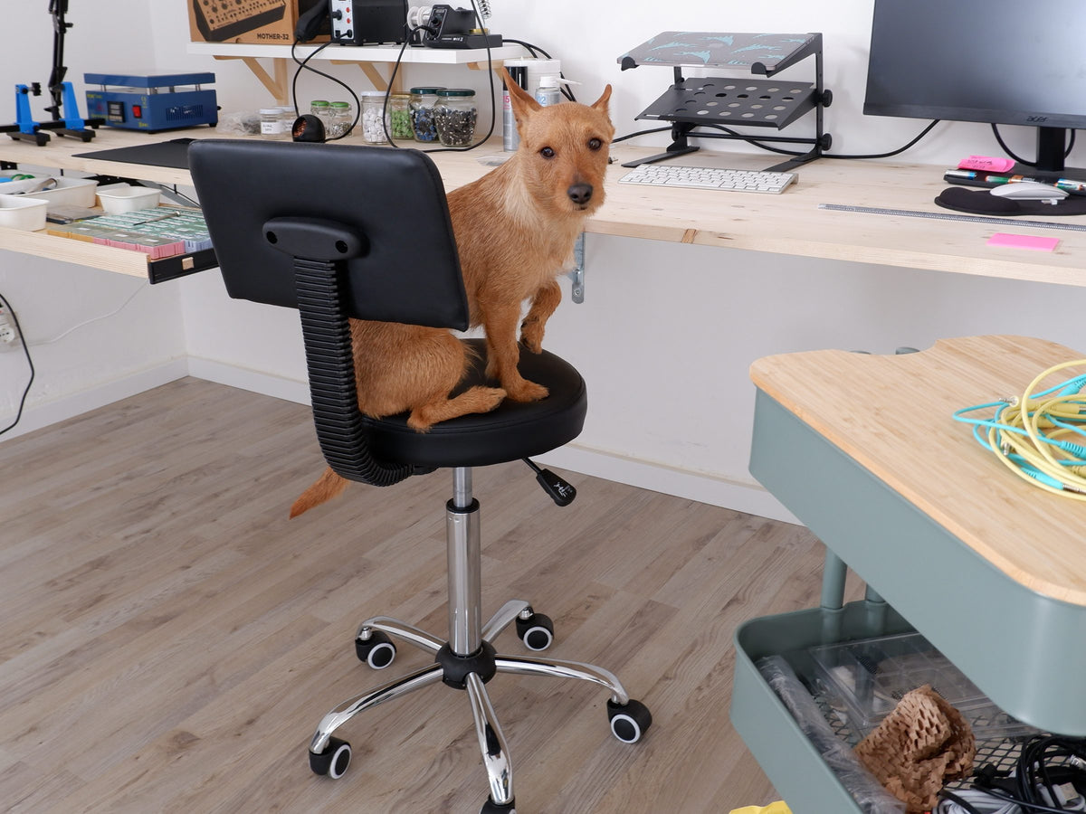 Un perro sentado en una silla del taller de Clatters Machines