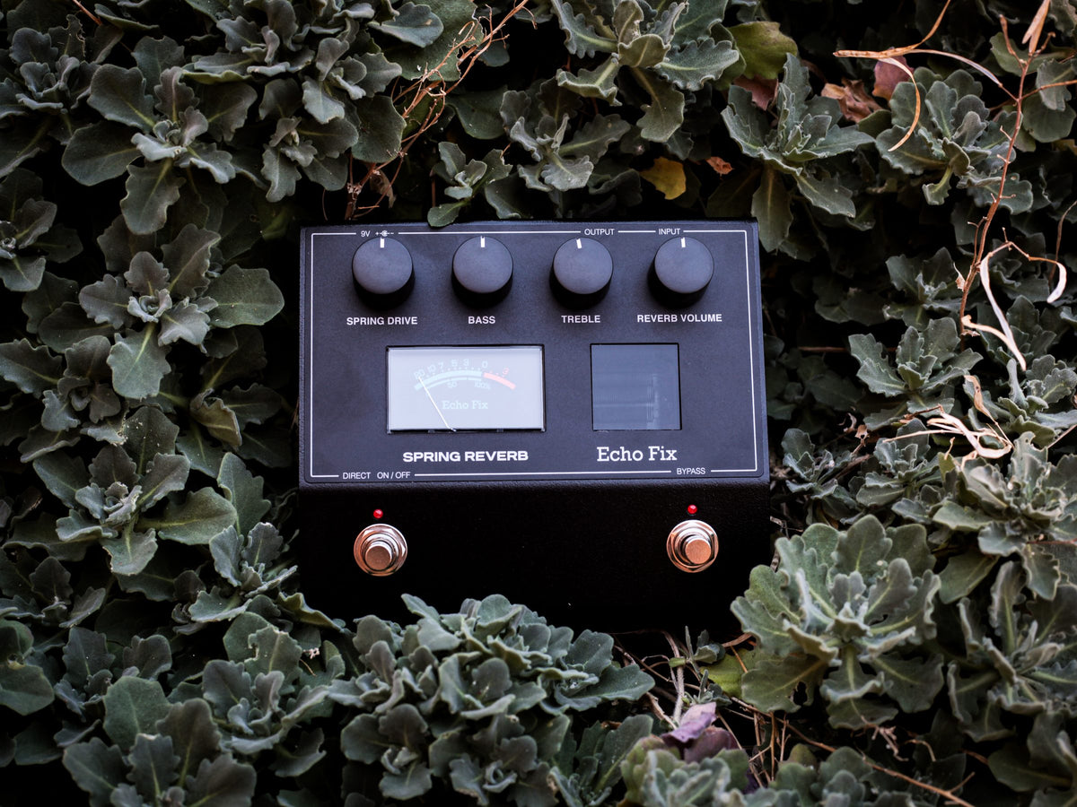 Pedal Echo Fix EF-P2 Spring Reverb entre plantas