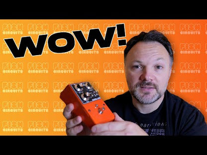 Fish Circuits Model One - Review de la escena