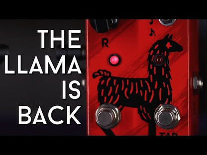 JAM Pedals Delay Llama Mk.3 - Review de la escena