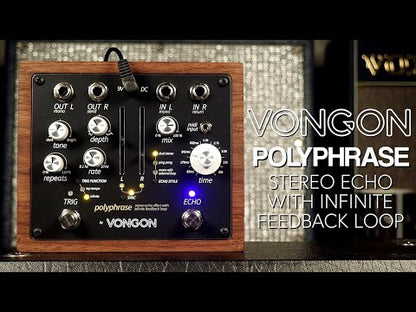 Review en video de Vongon Polyphrase por Pedal of the Day