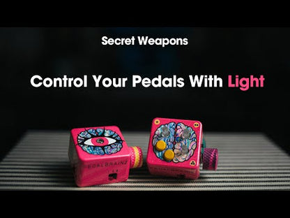Pedal Brainz Left Brain - Review Secret Weapons