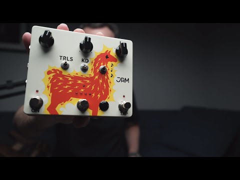 JAM Pedals Delay Llama XTREME - Demo de Janek Gwizdala