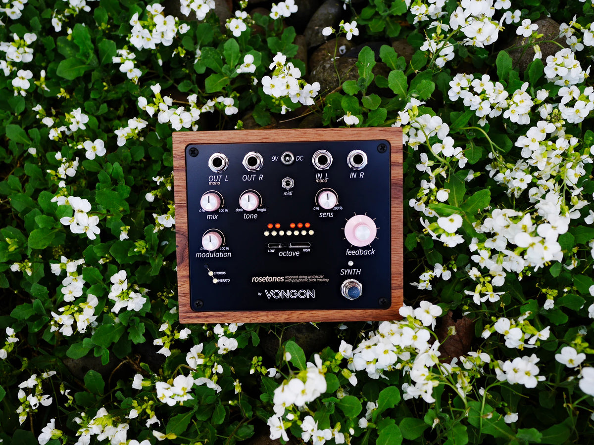 Vongon Rosetones al aire libre entre flores blancas